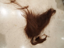 monohair