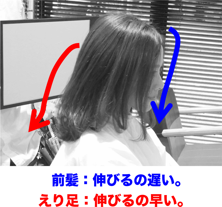 前髪は伸びるのが遅い